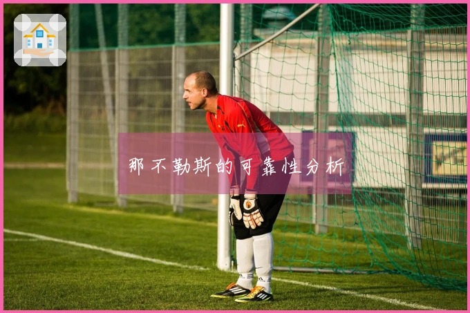 那不勒斯的可靠性分析