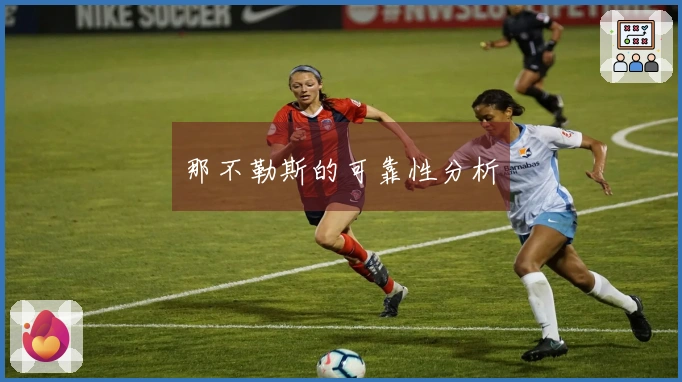 那不勒斯的可靠性分析